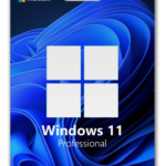 Windows 11 Professional