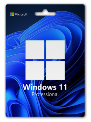 Windows 11 Professional