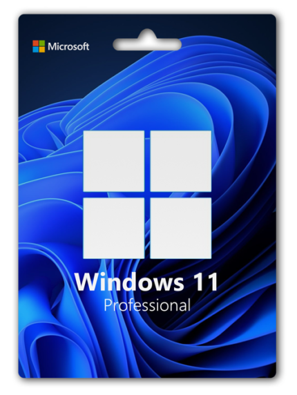 Windows 11 Professional